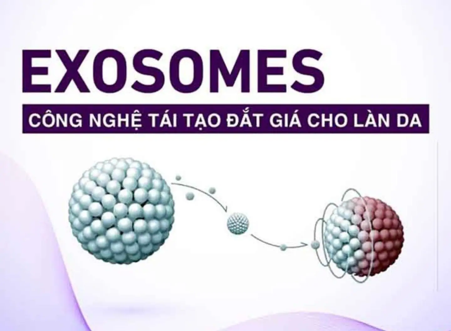 Tại sao Exosomes có thể trả lại thanh xuân cho làn da?